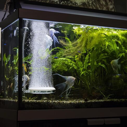 UPETTOOLS 1.4inch Nano Aquarium Air Stone Kit, Quiet Bubble Diffuser in Kuwait