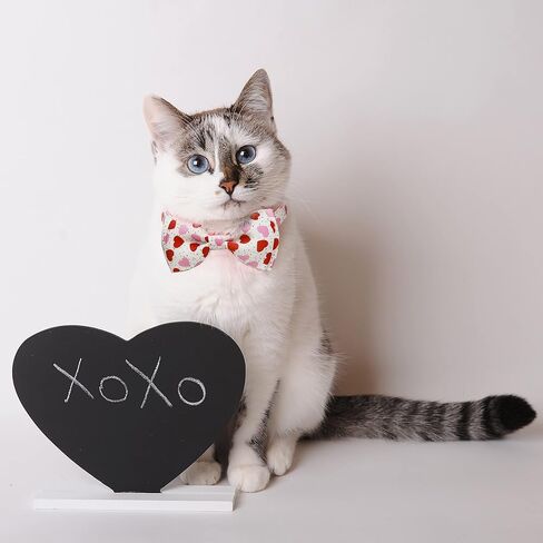2 Pack Valentine Kitty Kitten Collar with Bow Tie, Holiday Heart Collar with Bell for Boys and Girls Male Female Cats (Pattern 1) in Kuwait
