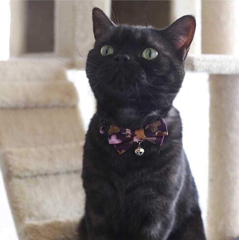 Necoichi Kimono Bow Tie Cat Collar (Black) in Saudi Arabia