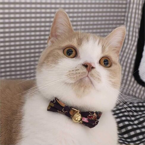 Necoichi Kimono Bow Tie Cat Collar (Black) in Saudi Arabia