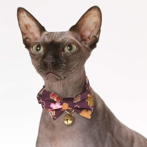 Necoichi Kimono Bow Tie Cat Collar (Black) in Saudi Arabia