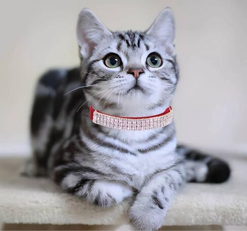 THAIN Rhinestones Cat Dog Collar Soft Velvet Safe Adjustable Collar Bling Diamante with Bells, 8-11 inch for Small Dogs and Cats (Pink) in Kuwait