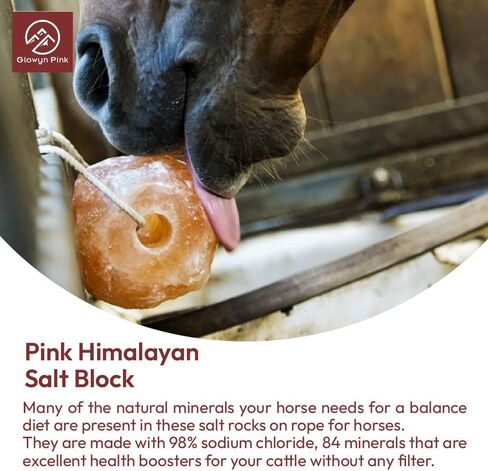 Glowyn Pink Himalayan Salt Lick - Large Natural Mineral Block on Rope for Horses, Cattle, Live Stock, Deer – Long Lasting - 9.5lbs. to 11.0lbs. - Great for Using as a Bait for Deer Hunting in Kuwait