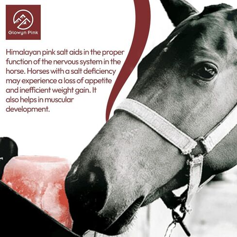 Glowyn Pink Himalayan Salt Lick - Large Natural Mineral Block on Rope for Horses, Cattle, Live Stock, Deer – Long Lasting - 9.5lbs. to 11.0lbs. - Great for Using as a Bait for Deer Hunting in Kuwait