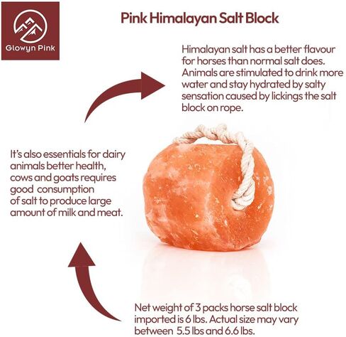 Glowyn Pink Himalayan Salt Lick - Large Natural Mineral Block on Rope for Horses, Cattle, Live Stock, Deer – Long Lasting - 9.5lbs. to 11.0lbs. - Great for Using as a Bait for Deer Hunting in Kuwait