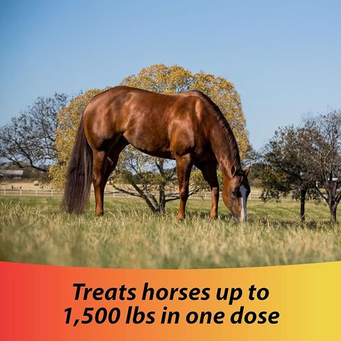 Farnam IverCare (ivermectin paste) 1.87%, Anthelmintic and Boticide, Treats Horses Up to 1500 lbs, Easy-To-Use Sure-Grip Syringe, Red Apple Flavor in Kuwait