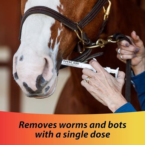 Farnam IverCare (ivermectin paste) 1.87%, Anthelmintic and Boticide, Treats Horses Up to 1500 lbs, Easy-To-Use Sure-Grip Syringe, Red Apple Flavor in Kuwait