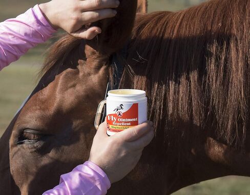 مرهم هابي هورس ريليف للخيول والمهور والكلاب، بمكونات نشطة نباتية - 6 اونصة in Kuwait