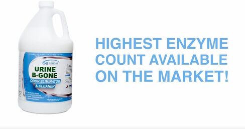 البول-ب-ذهب | مزيل رائحة إنزيم البول الاحترافي | القضاء تماما على البقع والروائح | تحتوي كل زجاجة على أكثر من 50 مليار إنزيم | تركيبة مركزة | فعال على الغسيل (عبوة من قطعتين) in Kuwait