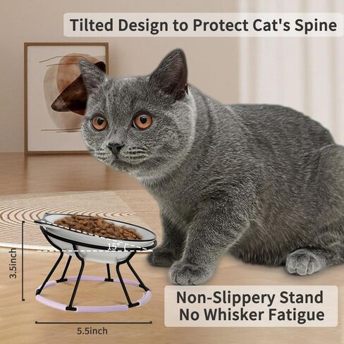 أوعية القطط للقطط الداخلية، وعاء القطط المرتفع مع حامل معدني، طبق سيراميك مرتفع للقطط، مناسب للحيوانات الأليفة لإطعام الحيوانات الأليفة أو طعام القطط والقطط والجراء والكلاب الصغيرة، آمن للاستخدام في غسالة الأطباق، عظم السمك in Kuwait