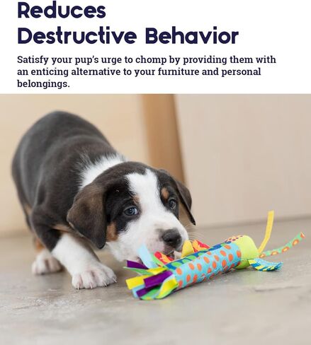 Petstages Multi-Squeak Bone Dog Chew Toy, Multicolor in Kuwait