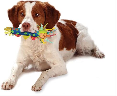Petstages Multi-Squeak Bone Dog Chew Toy, Multicolor in Kuwait