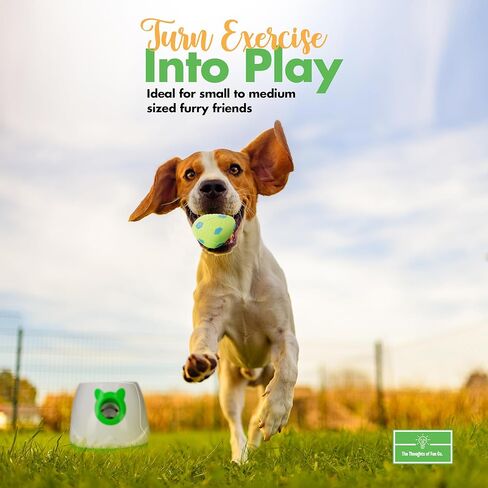 قاذف كرات أوتوماتيكي للكلاب - آلة جلب للكلاب الصغيرة والمتوسطة الحجم، 3 مسافات إطلاق، قاذف كرات للكلاب مع 6 كرات لاتكس، مصدر طاقة مزدوج، قاذف كرات للكلاب in Kuwait