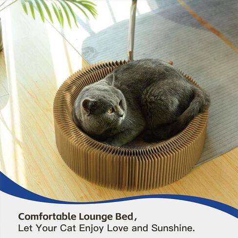 لوح خدش القطط LCZLBRRD، سرير صالة مموج لخدش القطط، قابل للطي والمحمول على شكل دائري، ألعاب وسادة خدش تفاعلية متينة مناسبة للداخل أو السفر - قطر غير مطوي 22 بوصة in Kuwait