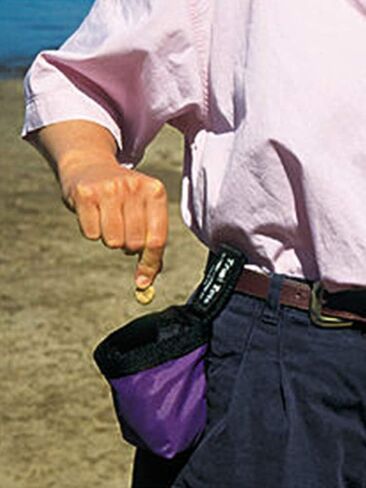 Chuckit! Treat Tote Dog Treat Pouch, 2 Cup Capacity in Saudi Arabia