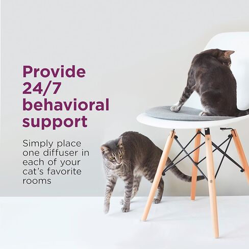 عبوتين، عبوات إعادة تعبئة فرمون متعدد القطط من كومفورت زون (60 يومًا) من أجل منزل هادئ، يوصى به الطبيب البيطري، إيقاف قتال القطط، وتقليل الرش، والخدش، والسلوكيات الإشكالية الأخرى in Kuwait