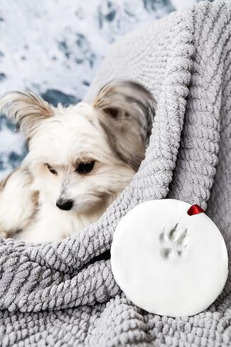 مجموعة زينة مطبوعة بمخالب عيد الميلاد من تايني آيدياز، تذكار للعطلات بدون خبز ولا فوضى، زينة عيد الميلاد للكلاب أو القطط، تذكار تذكاري للحيوانات الأليفة in Kuwait