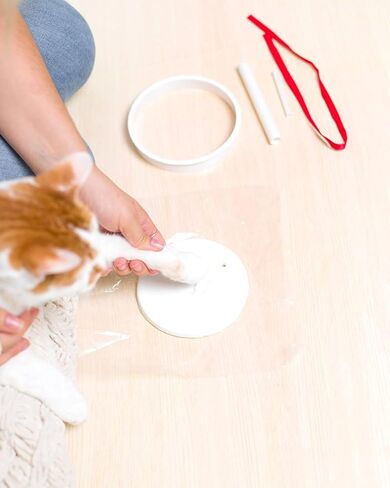 مجموعة زينة مطبوعة بمخالب عيد الميلاد من تايني آيدياز، تذكار للعطلات بدون خبز ولا فوضى، زينة عيد الميلاد للكلاب أو القطط، تذكار تذكاري للحيوانات الأليفة in Kuwait