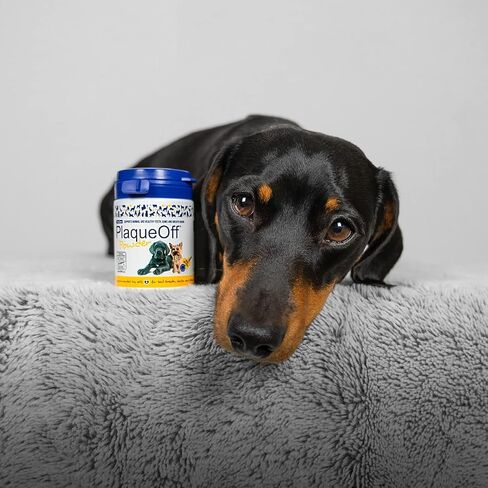 Proden PlaqueOff Dental Care for Dogs and Cats, 180gm in Saudi Arabia