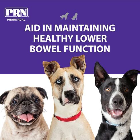 PRN Pharmacal PetEma - Disposable Single Use Enema for Dogs & Cats - Rectally Administered Gel Containing Lubricant, Laxative & Stool Softener - with Glycerin & Sorbic Acid - 12 mL Syringe - 3 Pack in Kuwait
