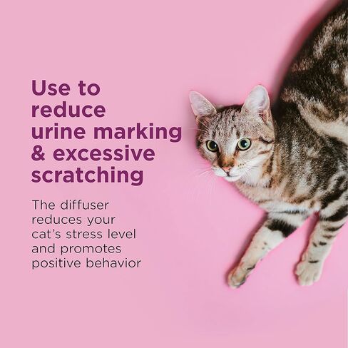 مجموعة أدوات إعادة تعبئة الروائح المهدئة للقطط من كومفورت زون: 6 عبوات؛ الفيرومونات لتقليل التوتر والرش والخدش in Kuwait