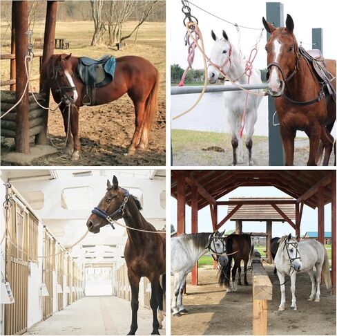 Martx Horse Tie Ring, Safe Horse Accessories Rigging Equipment for Horses,Horse tack and Supplies Horse Accessories,Horse tie Blocker Ring Prevents Horses from Pulling Back Durable Stainless Steel in Saudi Arabia