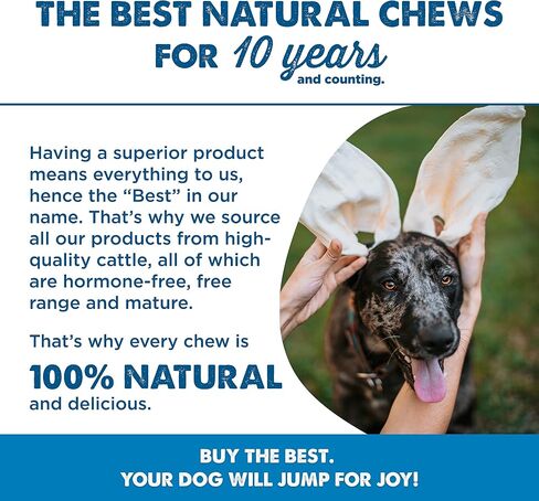 Best Bully Sticks Thick-Cut Cow Ears - 12 Count (Pack of 1) - All-Natural, Free-Range Grass-Fed, Single Ingredient, High Protein, Easily Digestible, Great for Various Breeds in Saudi Arabia