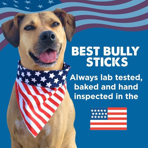 Best Bully Sticks Thick-Cut Cow Ears - 12 Count (Pack of 1) - All-Natural, Free-Range Grass-Fed, Single Ingredient, High Protein, Easily Digestible, Great for Various Breeds in Saudi Arabia