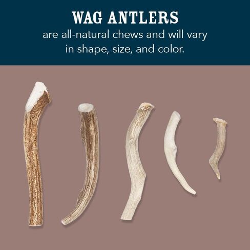 علامة أمازون التجارية - Wag Split Elk Antler، متساقط بشكل طبيعي، متوسط ​​(الأفضل للكلاب التي يتراوح وزنها بين 15 و30 رطلاً) in Kuwait