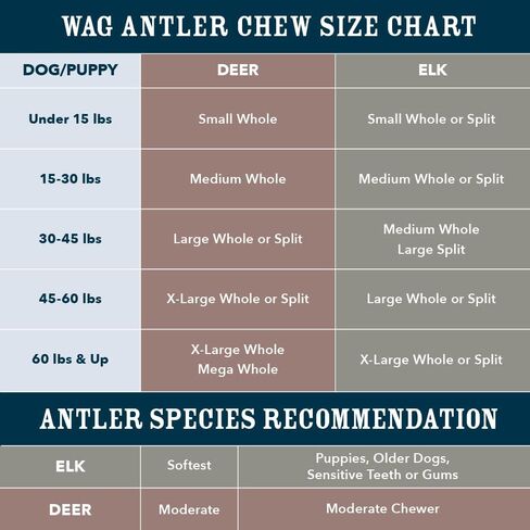 علامة أمازون التجارية - Wag Split Elk Antler، متساقط بشكل طبيعي، متوسط ​​(الأفضل للكلاب التي يتراوح وزنها بين 15 و30 رطلاً) in Kuwait