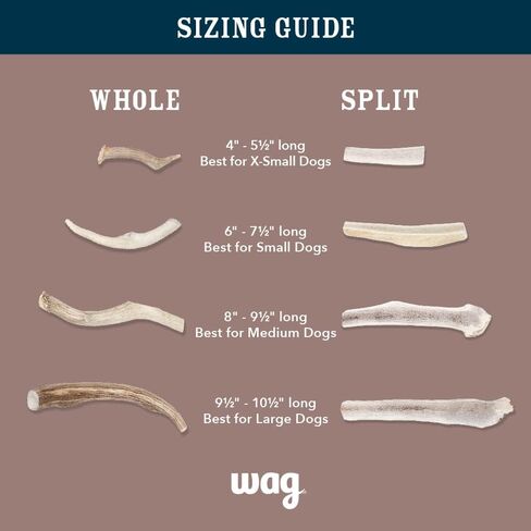علامة أمازون التجارية - Wag Split Elk Antler، متساقط بشكل طبيعي، متوسط ​​(الأفضل للكلاب التي يتراوح وزنها بين 15 و30 رطلاً) in Kuwait