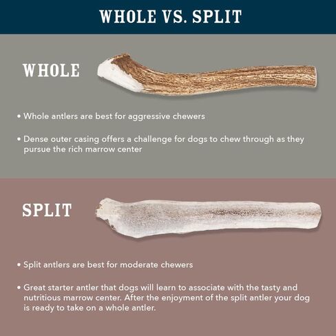 علامة أمازون التجارية - Wag Split Elk Antler، متساقط بشكل طبيعي، متوسط ​​(الأفضل للكلاب التي يتراوح وزنها بين 15 و30 رطلاً) in Kuwait