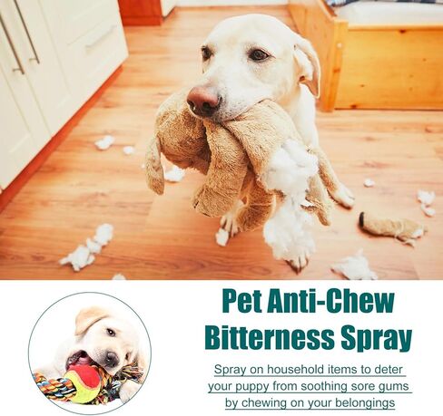 Bitter Apple Spray for Dogs to Stop Chewing, No Chew Spray for Dogs, Natural Dog Deterrent Spray for Pet Behavior Training, Indoor & Outdoor Safe, Alcohol Free/Non-Toxic/No Sting & No Smell (50ML) in Kuwait