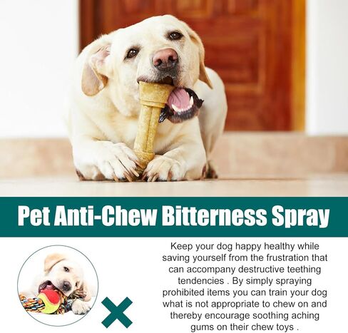 Bitter Apple Spray for Dogs to Stop Chewing, No Chew Spray for Dogs, Natural Dog Deterrent Spray for Pet Behavior Training, Indoor & Outdoor Safe, Alcohol Free/Non-Toxic/No Sting & No Smell (50ML) in Kuwait