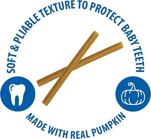 N-Bone Puppy Teething Sticks Harvest Edition Pumpkin Flavor, 3.74-oz Bag in Saudi Arabia
