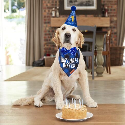 ADOGGYGO Dog Birthday Hat Bandana Set, Blue Plaid Boy Dog Bandana, X-Large in Saudi Arabia