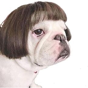Funny Dog Cat Cosplay Wig,Pet Wigs for Halloween, Christmas, Parties, Festivals, Dog Wigs for Small Medium and Large Dogs （Black Brown Straight） in Kuwait
