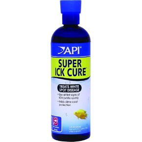 API LIQUID SUPER ICK CURE Fish remedy, Freshwater and Saltwater Fish Medication 4 fl oz(Pack of 1), White in Kuwait