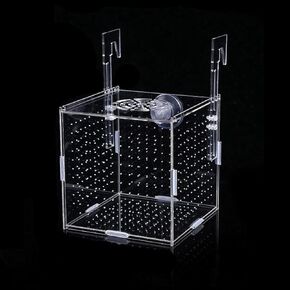 صندوق تربية الأسماك الأكريليك، صندوق عزل تربية حوض السمك، صندوق تربية الأسماك الشفاف لخزان الأسماك، حاضنة التفريخ لأسماك الروبيان جوبي كلوونفيش الصغيرة (3.9 * 3.9 * 3.9 بوصة) in Kuwait