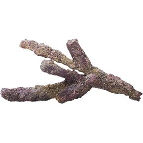 صخرة الحياة من كاريبسي، 20 باوند in Kuwait