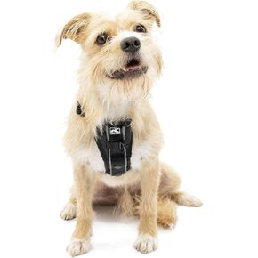 Kurgo Tru-Fit Smart Harness, Dog Harness, Pet Walking Harness, Quick Release Buckles, Front D-Ring for No Pull Training, Includes Dog Seat Belt Tether (Black, Medium)