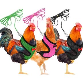 Boao 3 Pieces Adjustable Easter Chicken Harness and Leash for Hen Roosters Comfortable Hen Vest with Matching Belt Breathable Training Harness for Chicken, Duck Goose, Pet(Blue, Black, Purple,M)