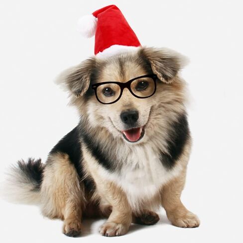 ANIAC Adjustable 3D Christmas Dog Santa Hat for Medium to Large Dogs Pet Dog Santa Costume in Saudi Arabia