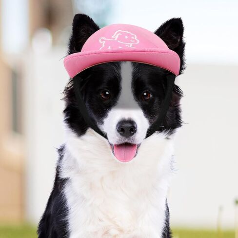 Debei Dog Hat Baseball Sun Trucker قبعة الحيوانات الأليفة للكلاب والقطط (كبيرة) قبعات الحيوانات الأليفة ذات فتحات أذن برباط قابلة للتعديل مع حماية من الأشعة فوق البنفسجية تناسب الكلاب الصغيرة والمتوسطة والكبيرة (أسود) in Kuwait