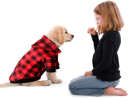 Red Plaid Dog Hoodie Sweater for Dogs Pet Clothes with Hat and Pocket（XL） in Kuwait