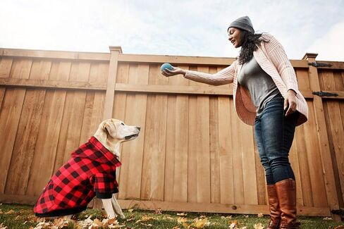Red Plaid Dog Hoodie Sweater for Dogs Pet Clothes with Hat and Pocket（XL） in Kuwait