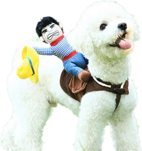 NACOCO Cowboy Rider Dog Costume for Dogs Clothes Knight Style with Doll and Hat for Halloween Day Pet Costume (S) in Kuwait