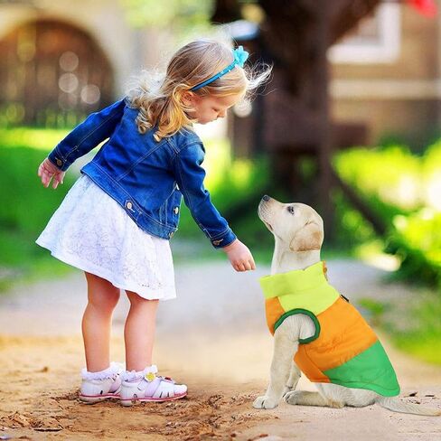 معطف Idepet Pet Dog Cat مع مقود مرساة ملون مرقع مبطن وسترة تيدي تشيهواهوا من قماش الصلصال XS S M L (متوسط ​​(عبوة من 1)، أحمر وردي) in Kuwait