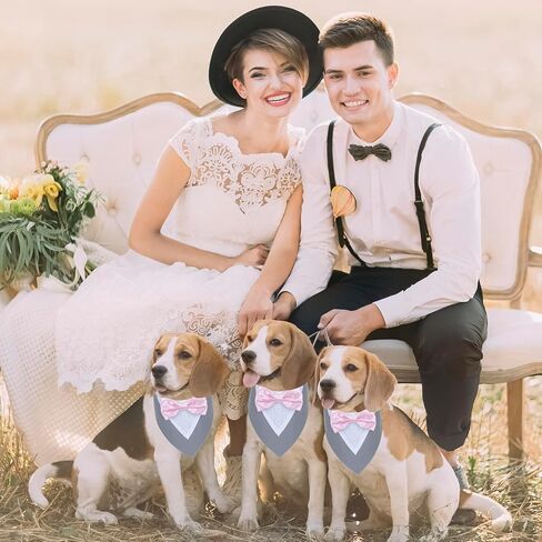 ADOGGYGO Dog Tuxedo Bandana, Wedding Birthday Dog Bow Tie, Black, Medium in Kuwait