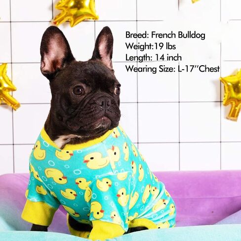 KYEESE Velvet Dog Pajamas for Medium Large Dogs Soft Onesie, Yellow Duck in Saudi Arabia